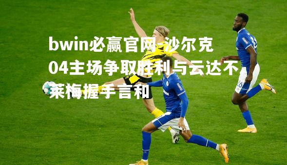 沙尔克04主场争取胜利与云达不莱梅握手言和