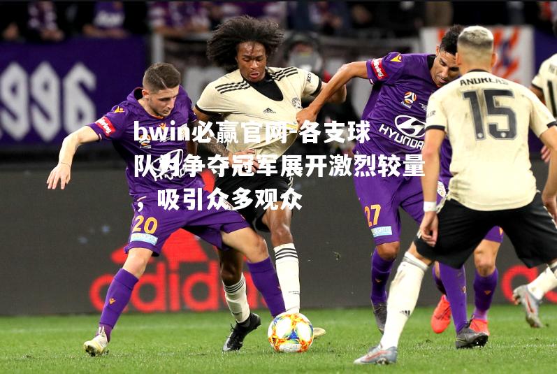 各支球队为争夺冠军展开激烈较量，吸引众多观众